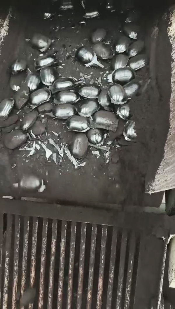 ɽ����ͬ�͑����ҹ�˾�M(j��n)�л���̿�ɷۉ���ԇ�